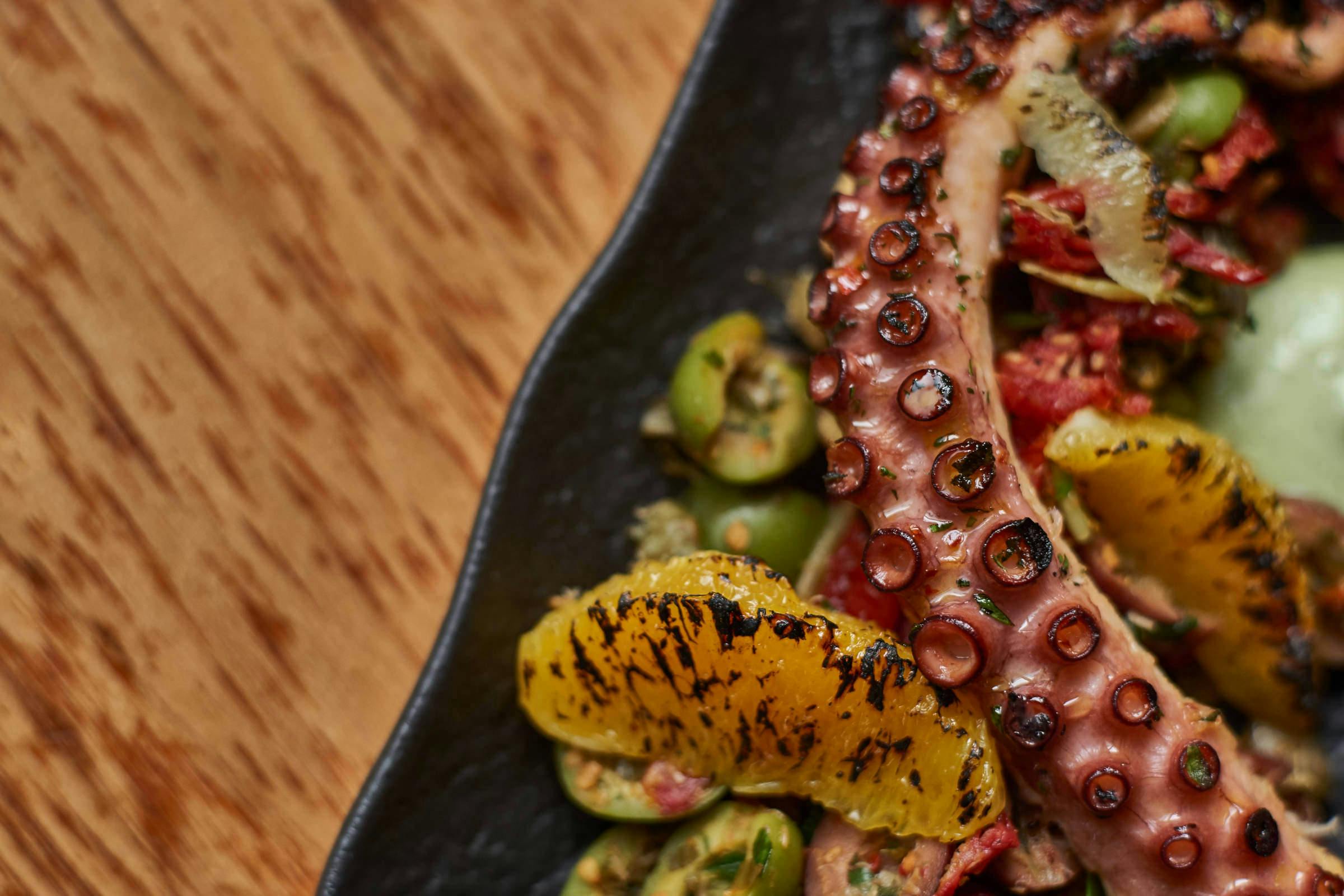 Octopus dish for Bethlehem, PA based restaurant